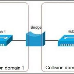 مدل انتقال Bridge EVPN/MPLS