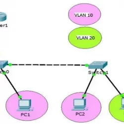 آشنایی با 5 نوع VLAN
